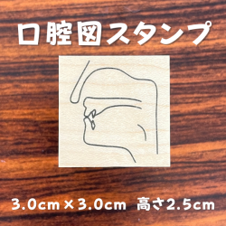 口腔図スタンプ（3.0cm×3.0cm 高さ2.5cm）